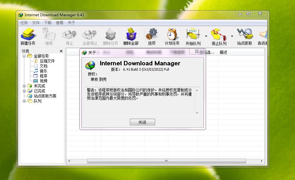 Internet Download Manager v6.41.3 绿色特别版v3
